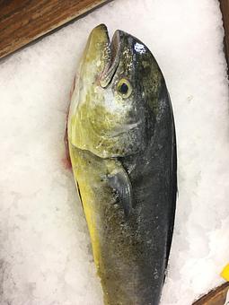 Product - Mt. Pleasant Seafood in Mount Pleasant, SC Seafood Restaurants