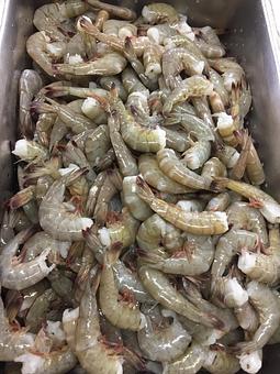 Product - Mt. Pleasant Seafood in Mount Pleasant, SC Seafood Restaurants