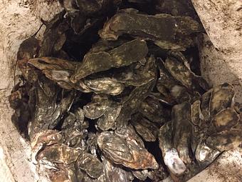 Product - Mt. Pleasant Seafood in Mount Pleasant, SC Seafood Restaurants