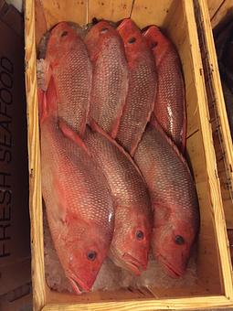 Product - Mt. Pleasant Seafood in Mount Pleasant, SC Seafood Restaurants