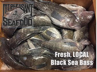 Product - Mt. Pleasant Seafood in Mount Pleasant, SC Seafood Restaurants