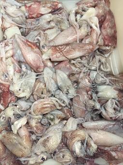 Product - Mt. Pleasant Seafood in Mount Pleasant, SC Seafood Restaurants