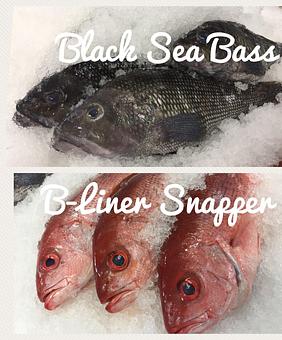 Product - Mt. Pleasant Seafood in Mount Pleasant, SC Seafood Restaurants