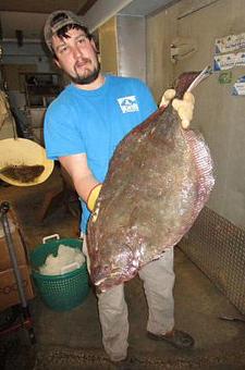 Product - Mt. Pleasant Seafood in Mount Pleasant, SC Seafood Restaurants