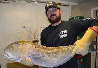 Product - Mt. Pleasant Seafood in Mount Pleasant, SC Seafood Restaurants