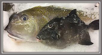 Product - Mt. Pleasant Seafood in Mount Pleasant, SC Seafood Restaurants