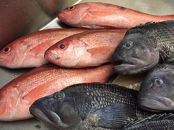 Product - Mt. Pleasant Seafood in Mount Pleasant, SC Seafood Restaurants