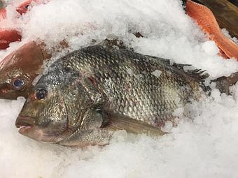 Product - Mt. Pleasant Seafood in Mount Pleasant, SC Seafood Restaurants