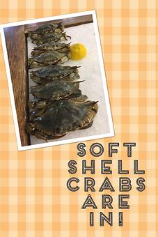 Product - Mt. Pleasant Seafood in Mount Pleasant, SC Seafood Restaurants