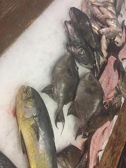 Product - Mt. Pleasant Seafood in Mount Pleasant, SC Seafood Restaurants