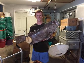 Product - Mt. Pleasant Seafood in Mount Pleasant, SC Seafood Restaurants