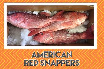 Product - Mt. Pleasant Seafood in Mount Pleasant, SC Seafood Restaurants