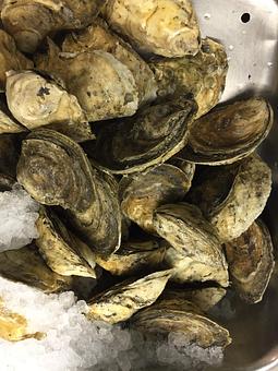 Product - Mt. Pleasant Seafood in Mount Pleasant, SC Seafood Restaurants