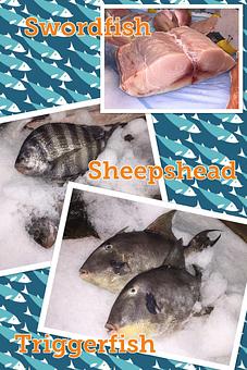 Product - Mt. Pleasant Seafood in Mount Pleasant, SC Seafood Restaurants