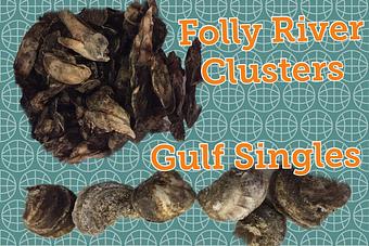 Product - Mt. Pleasant Seafood in Mount Pleasant, SC Seafood Restaurants