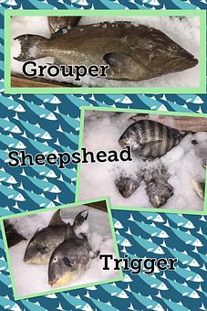 Product - Mt. Pleasant Seafood in Mount Pleasant, SC Seafood Restaurants