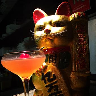 Product - Mulan Bistro in Midtown - Memphis, TN Chinese Restaurants