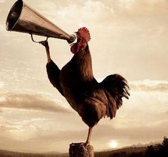 Product - Mulan Bistro in Midtown - Memphis, TN Chinese Restaurants