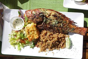 Product - Namaste Fusion الكوخ الحجازي in Fairview, NJ Halal Restaurants Product - Namaste Fusion الكوخ الحجازي in Fairview, NJ Halal Restaurants