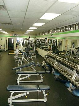 Product - Next Level Health & Fitness in Saint Clair Shores, MI Health Clubs & Gymnasiums