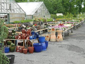 Product - Nolt Nursery in Lebanon, PA Nurseries & Garden Centers