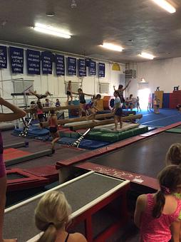 Product: Northeast Gymnastics - Northeast Institute of Gymnastics in Albany, NY Sports & Recreational Services