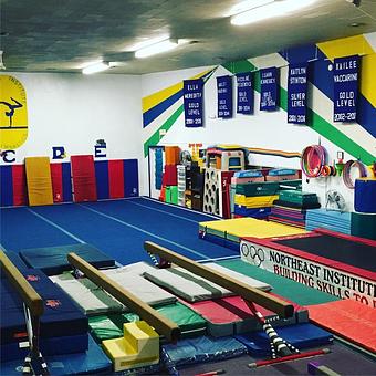 Product - Northeast Institute of Gymnastics in Albany, NY Sports & Recreational Services