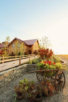 Product - Oak Farm Vineyards in Lodi, CA Bars & Grills