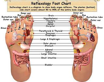 Product - Oakland Foot Health Center in Oakland, CA Physicians & Surgeons Podiatric Medicine Foot & Ankle