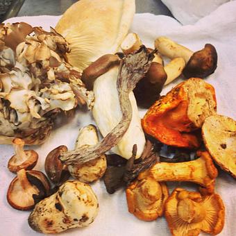 Product - Oakleys Bistro in Greenbriar - Indianapolis, IN American Restaurants