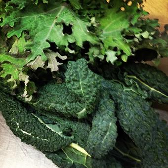 Product - Oakleys Bistro in Greenbriar - Indianapolis, IN American Restaurants