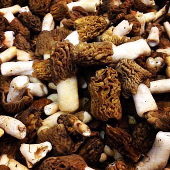 Product - Oakleys Bistro in Greenbriar - Indianapolis, IN American Restaurants