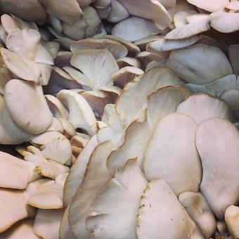 Product - Oakleys Bistro in Greenbriar - Indianapolis, IN American Restaurants