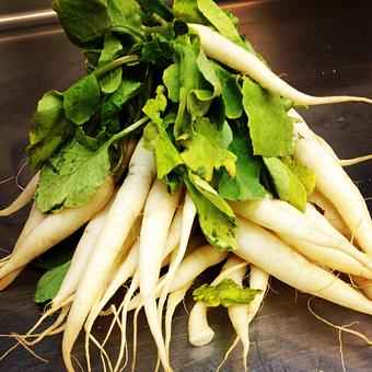 Product - Oakleys Bistro in Greenbriar - Indianapolis, IN American Restaurants