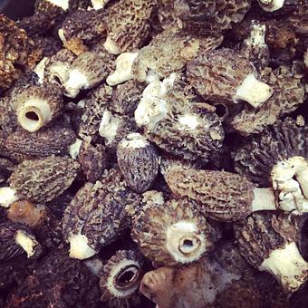 Product - Oakleys Bistro in Greenbriar - Indianapolis, IN American Restaurants