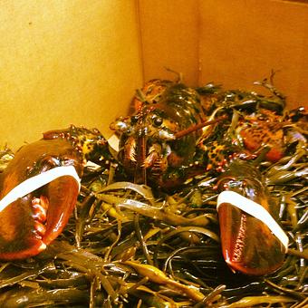 Product - Oakleys Bistro in Greenbriar - Indianapolis, IN American Restaurants