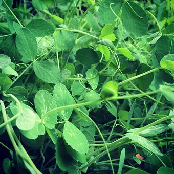 Product - Oakleys Bistro in Greenbriar - Indianapolis, IN American Restaurants