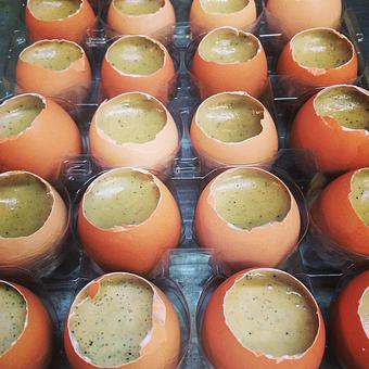 Product - Oakleys Bistro in Greenbriar - Indianapolis, IN American Restaurants