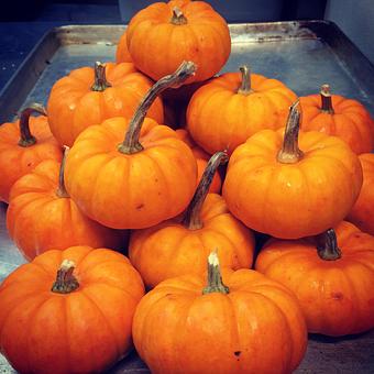 Product - Oakleys Bistro in Greenbriar - Indianapolis, IN American Restaurants