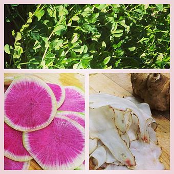 Product - Oakleys Bistro in Greenbriar - Indianapolis, IN American Restaurants