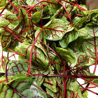 Product - Oakleys Bistro in Greenbriar - Indianapolis, IN American Restaurants