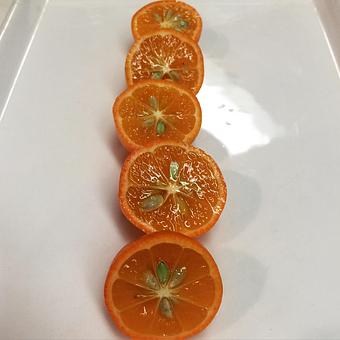 Product - Oakleys Bistro in Greenbriar - Indianapolis, IN American Restaurants