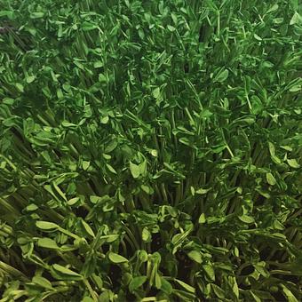 Product - Oakleys Bistro in Greenbriar - Indianapolis, IN American Restaurants