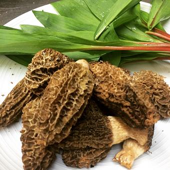 Product - Oakleys Bistro in Greenbriar - Indianapolis, IN American Restaurants