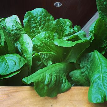 Product - Oakleys Bistro in Greenbriar - Indianapolis, IN American Restaurants