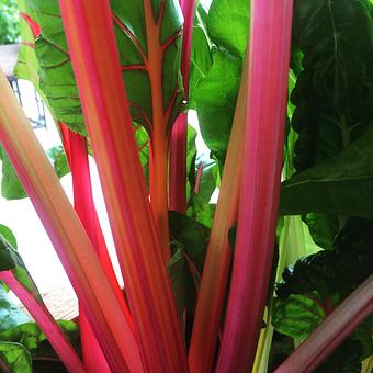 Product - Oakleys Bistro in Greenbriar - Indianapolis, IN American Restaurants