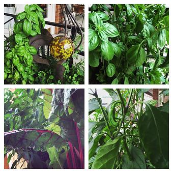 Product - Oakleys Bistro in Greenbriar - Indianapolis, IN American Restaurants