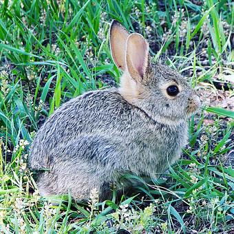 Product - Oakleys Bistro in Greenbriar - Indianapolis, IN American Restaurants