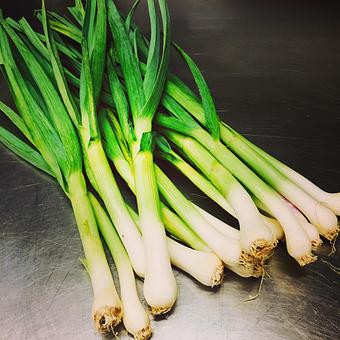 Product - Oakleys Bistro in Greenbriar - Indianapolis, IN American Restaurants