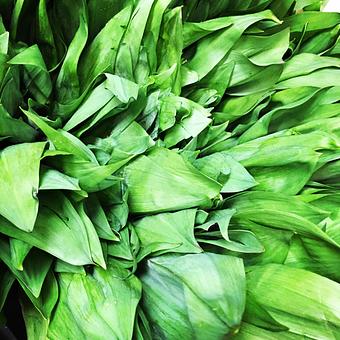 Product - Oakleys Bistro in Greenbriar - Indianapolis, IN American Restaurants